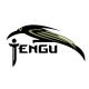 Палатки Tengu в Ижевске Палатки Tengu в Ижевске