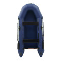 Надувная лодка Tulin ДМ-310 Легенда в Ижевске Надувная лодка Tulin ДМ-310 Легенда в Ижевске